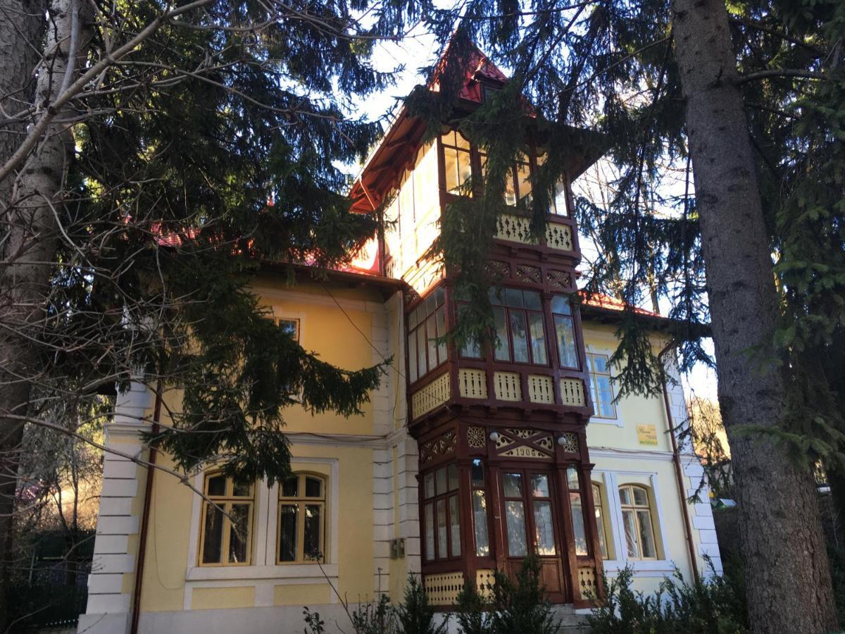 Vila Flavia Sinaia Buitenkant foto