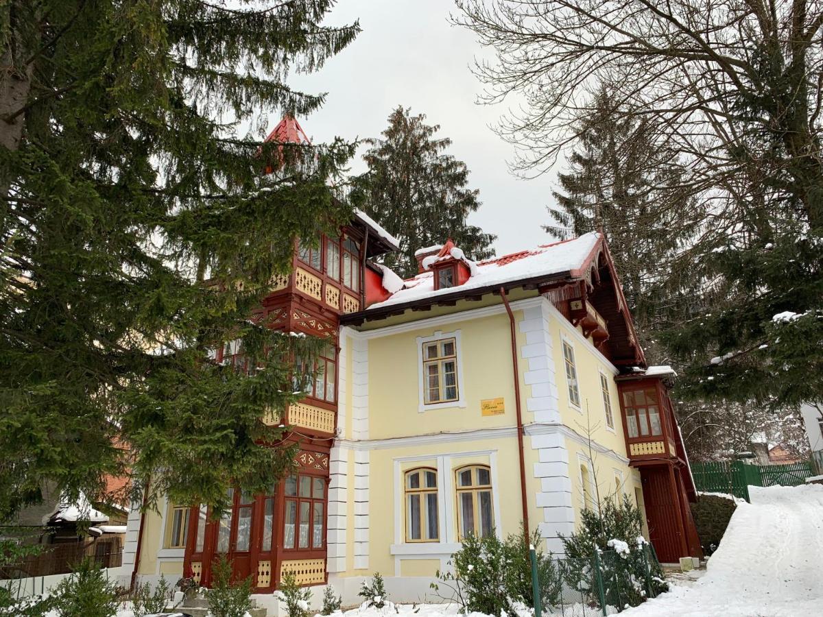 Vila Flavia Sinaia Buitenkant foto