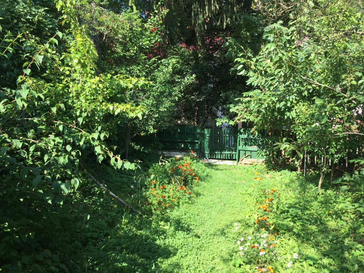 Vila Flavia Sinaia Buitenkant foto