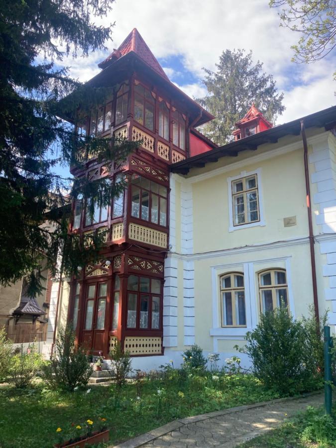 Vila Flavia Sinaia Buitenkant foto