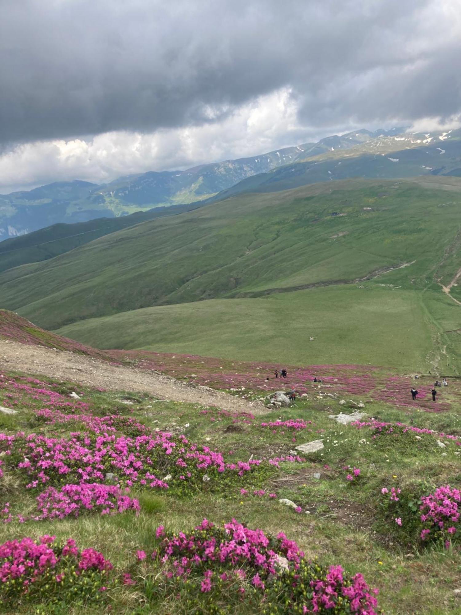Vila Flavia Sinaia Buitenkant foto